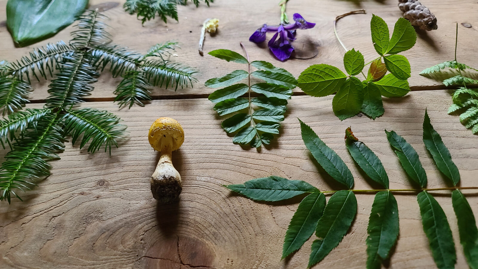 Cultural identity through an Indigenous vision — inspiration for UHU artistic creation by Andrea Gonzalez and Stéphane Nepton