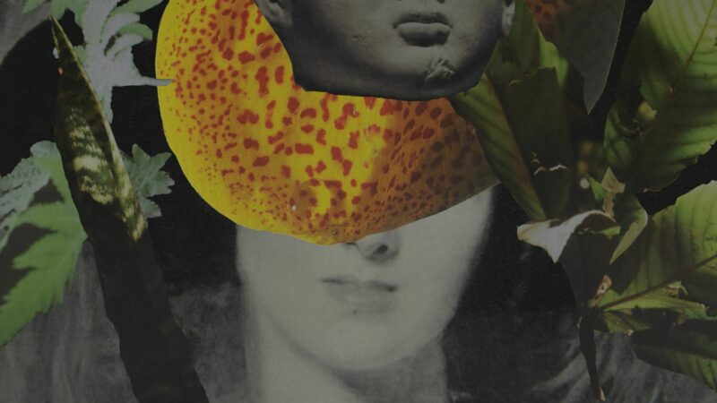 Kite Zo A (Leave the Bones) by Kaveh Nabatian | Free Film on ARTS.FILM
