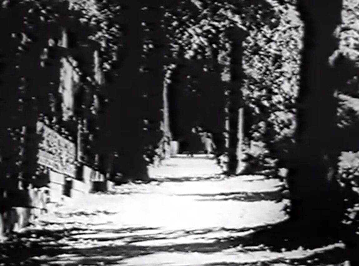 Bad Blood for the Vampyr