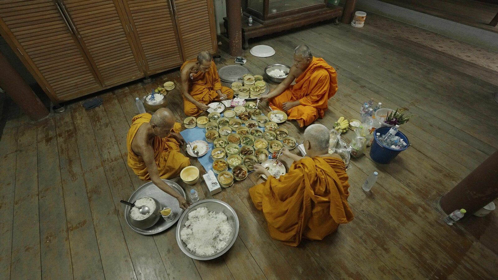 Big Ears Listen With Feet