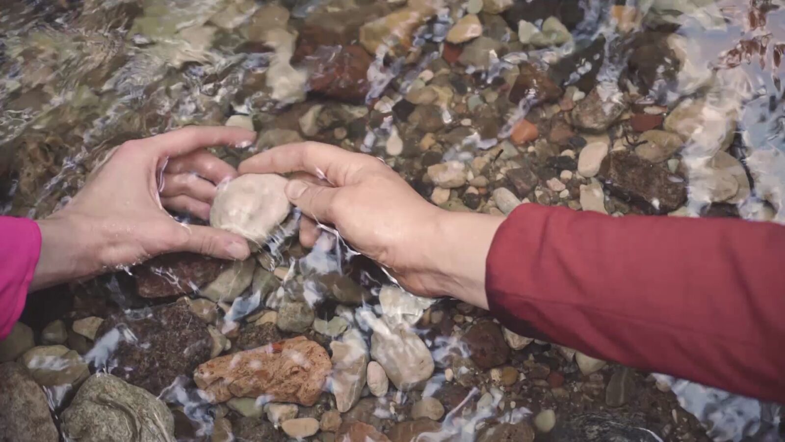 Carte blanche : Joyce Joumaa - Montréal