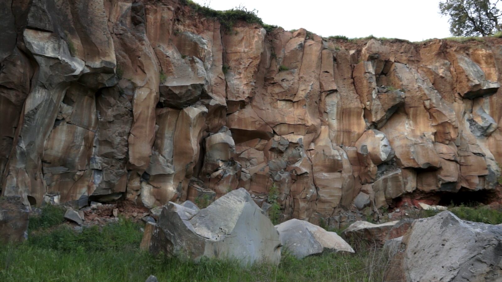 Carte blanche : Silvana Fiorese - DART Festival- Barcelone