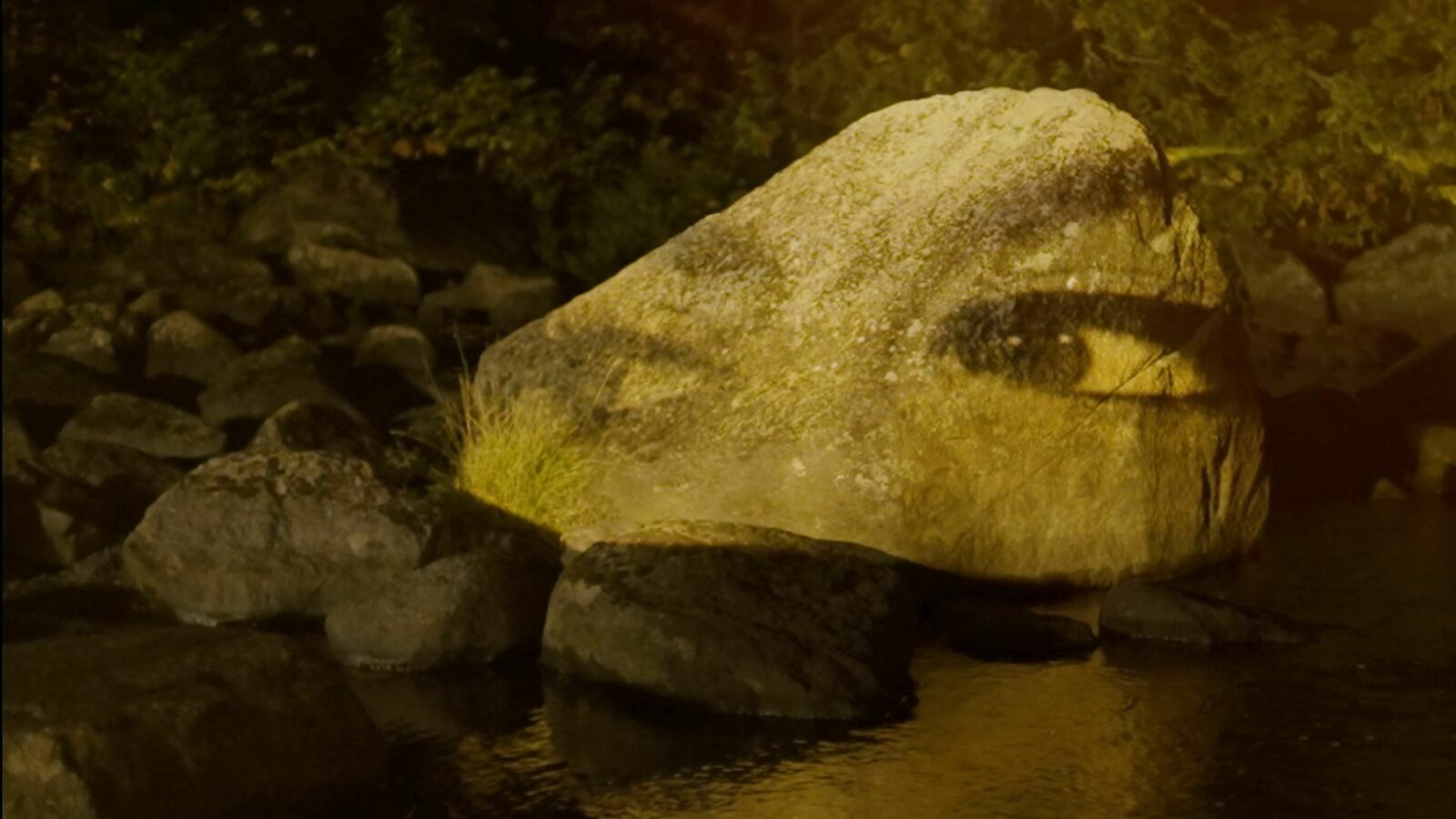 Ce que la rivière m'a appris