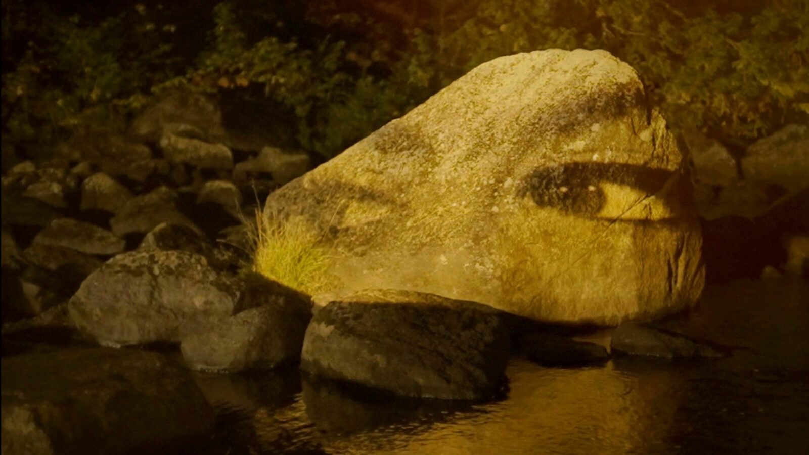 Ce que la rivière m'a appris