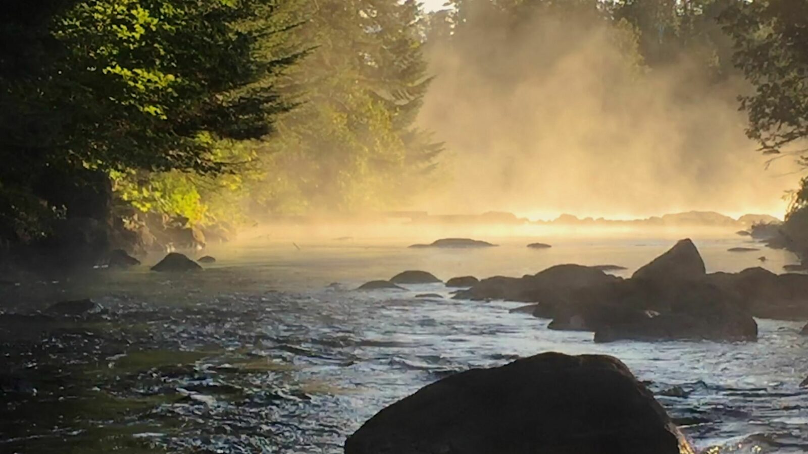 Ce que la rivière m'a appris