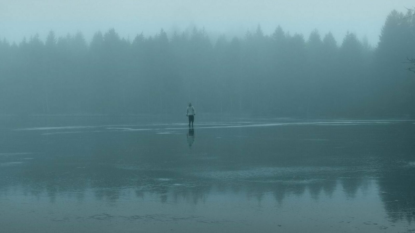 Dans les bois de Walden avec Henry Thoreau