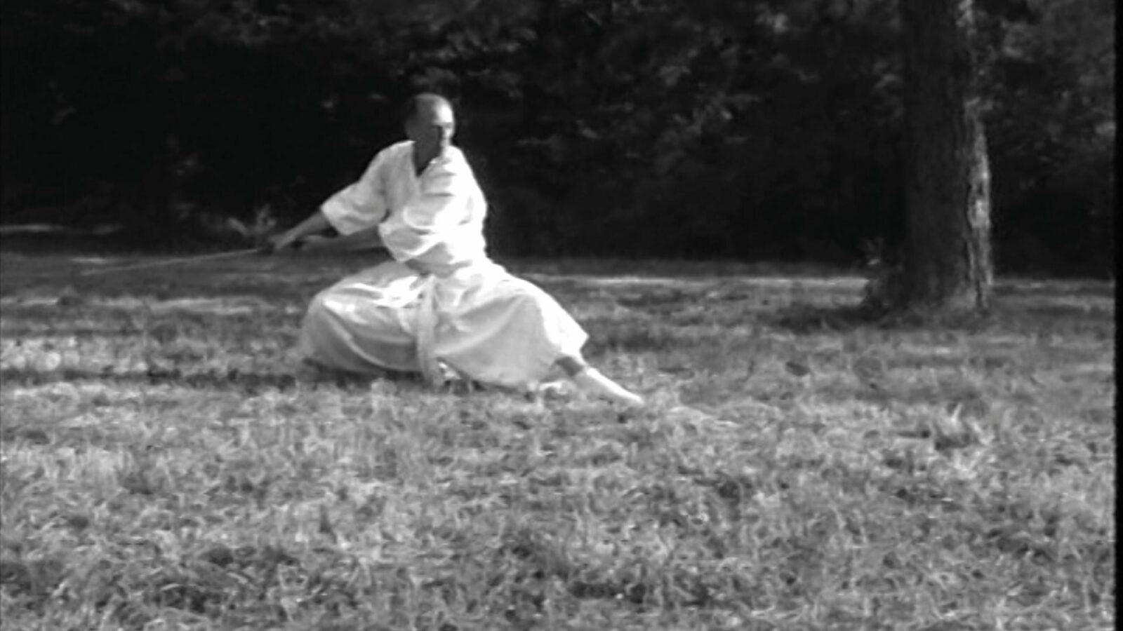 De Sabre et de Plume