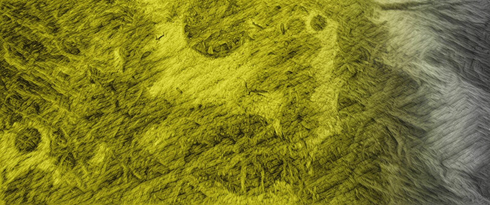 do they speak color?