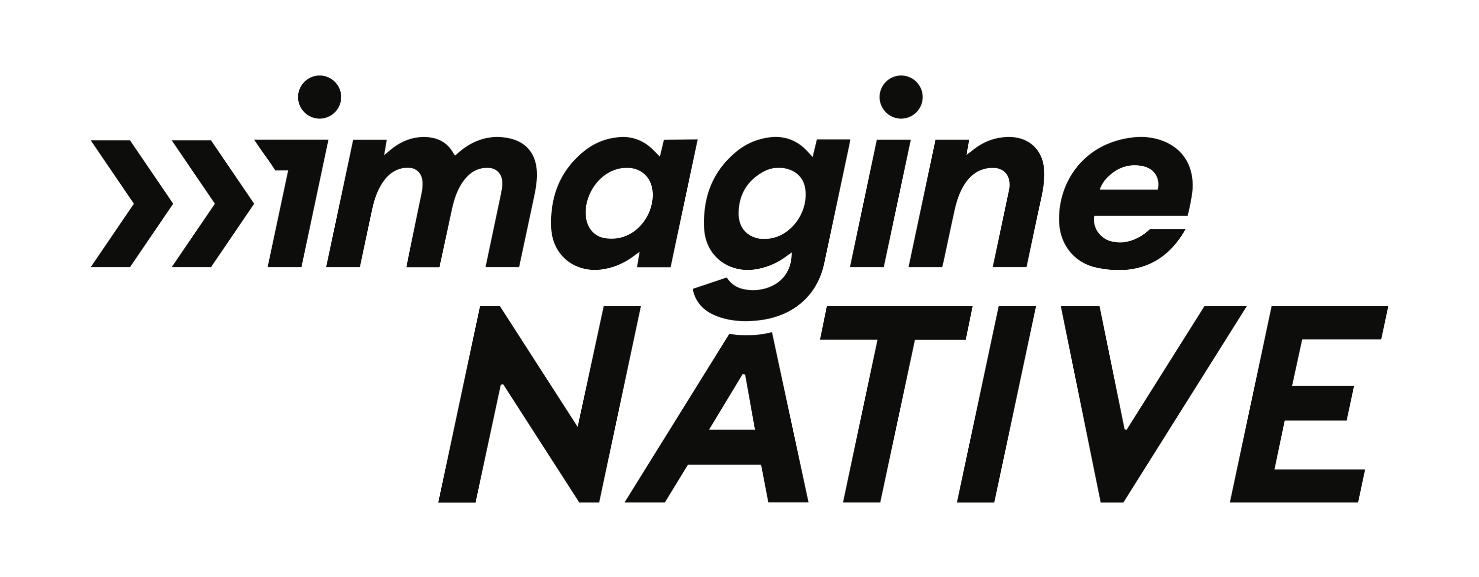 ImagineNATIVE