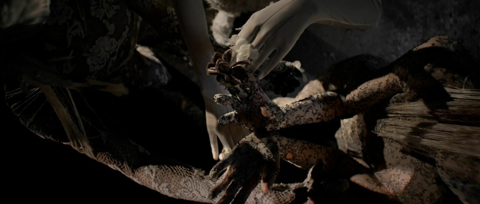 It Is Not Spring, Until All Flowers Blossom