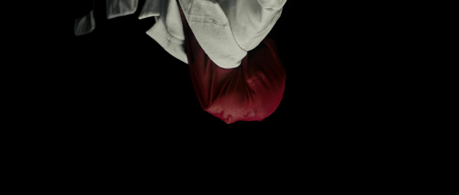 It Is Not Spring, Until All Flowers Blossom