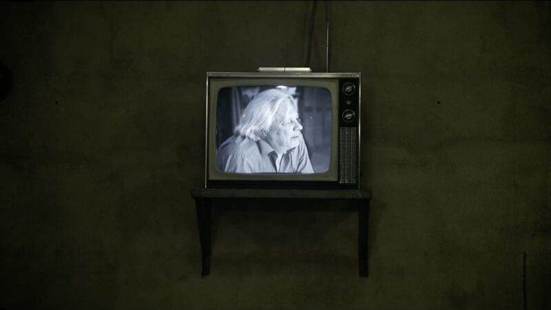 L'angoisse du héron