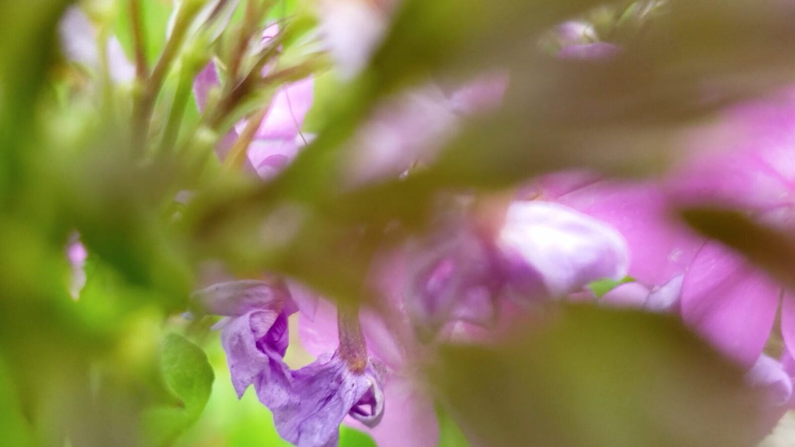 Louise Warren - Fragments