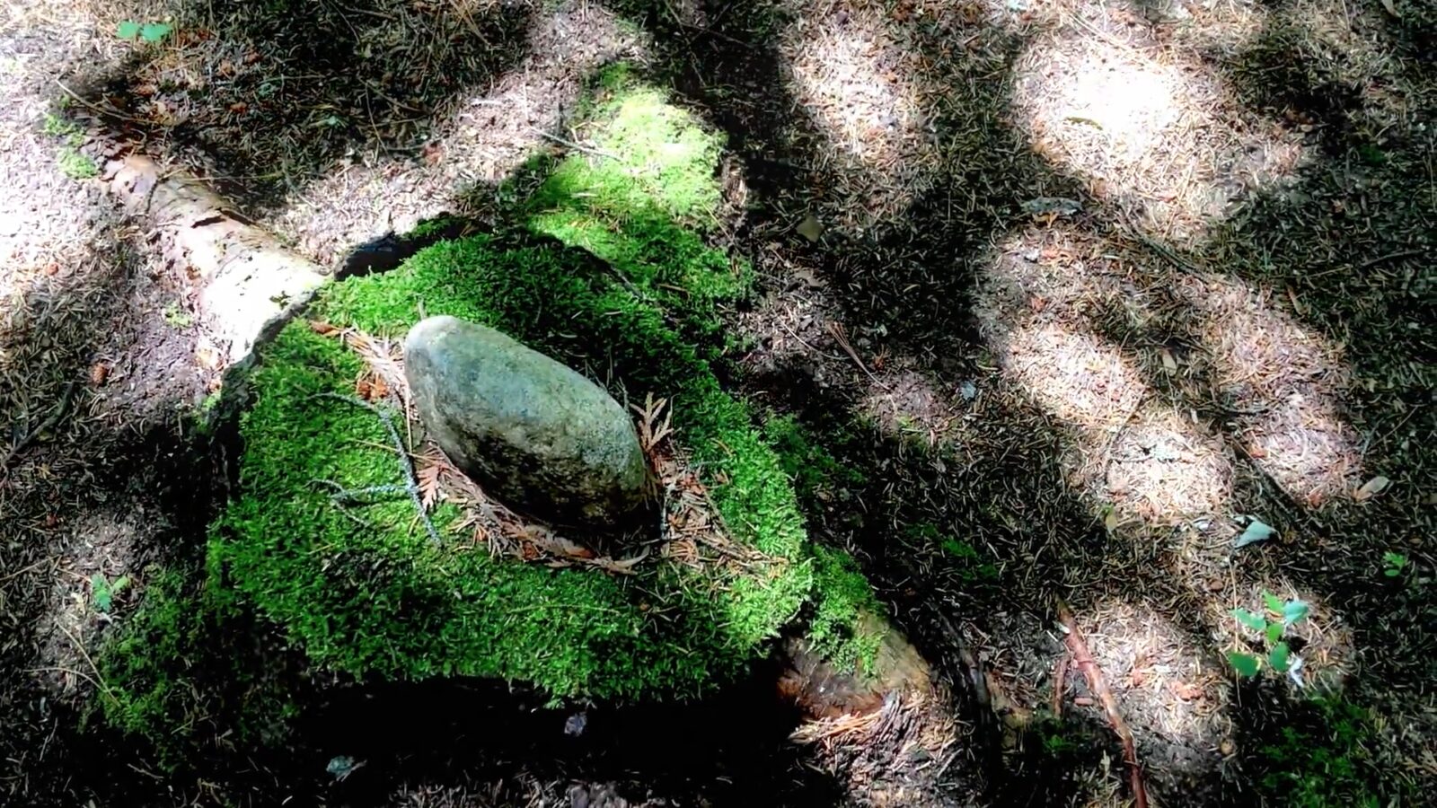 Le FIFA célèbre les diversités corporelles et la richesse de la langue dans le cadre d'une programmation spéciale au Centre Culturel Canadien à Paris