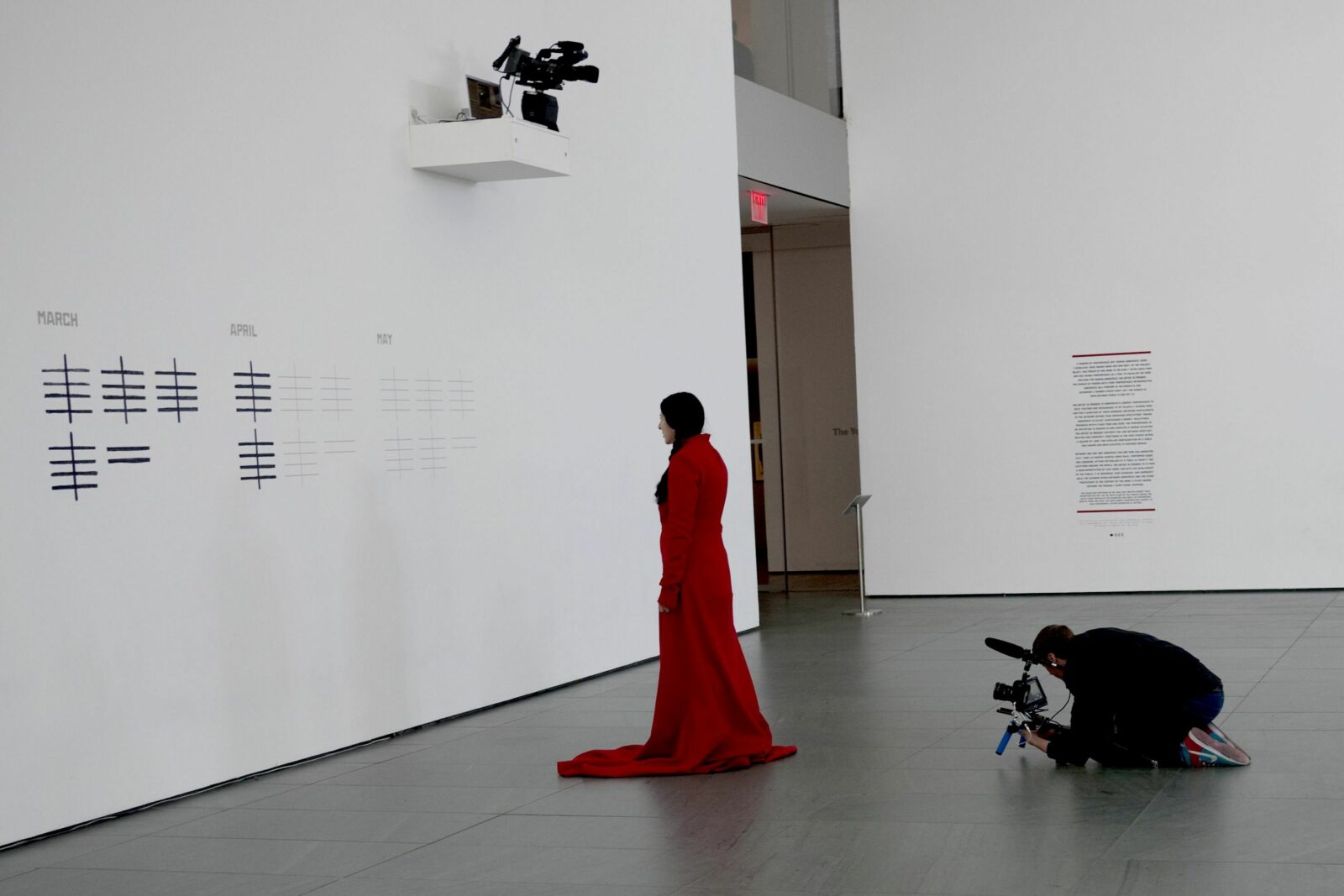 Marina Abramovic : The Artist is Present