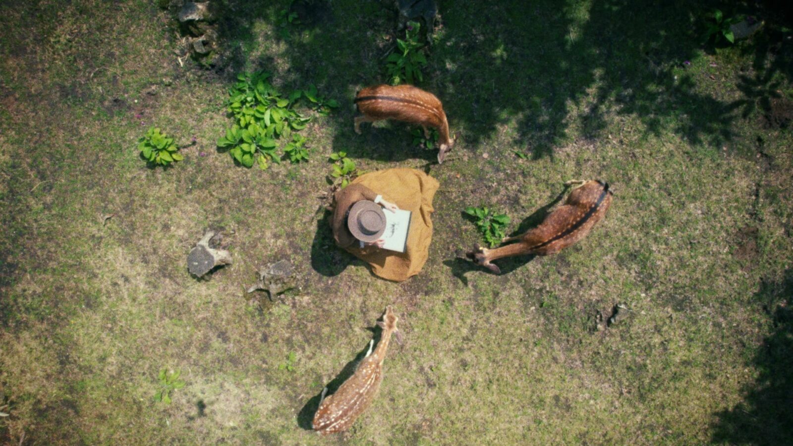 Rosa Bonheur, dame nature