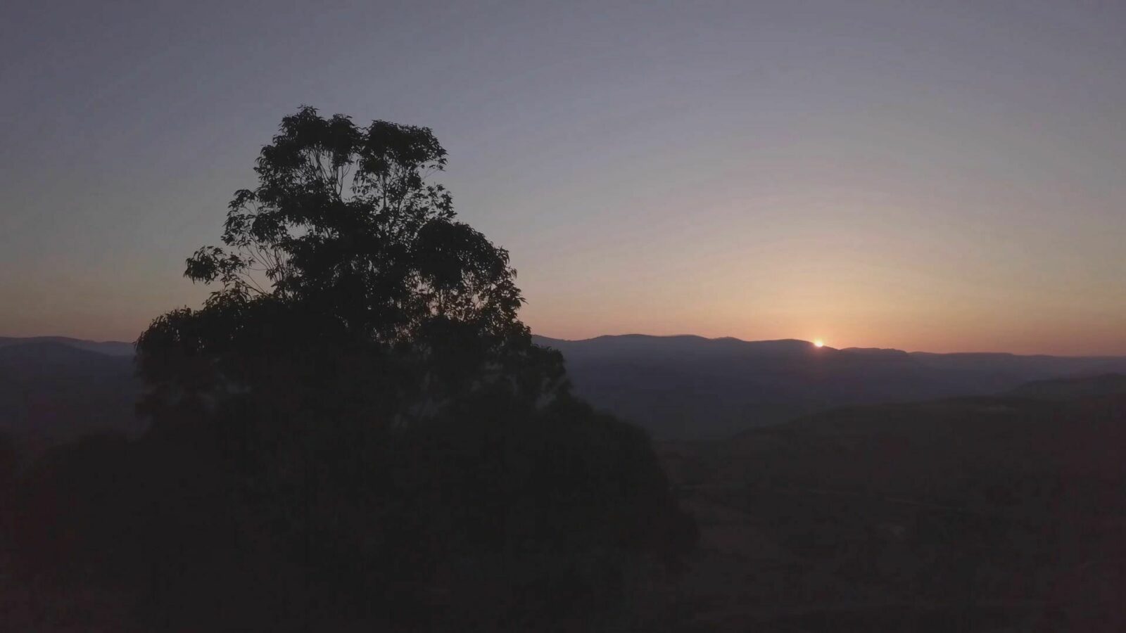 Sapiens ou la naissance de l'art