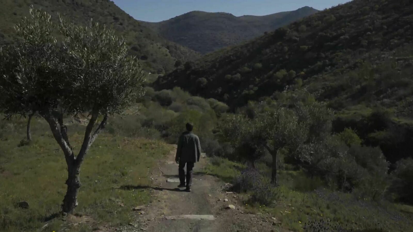 Sapiens ou la naissance de l'art