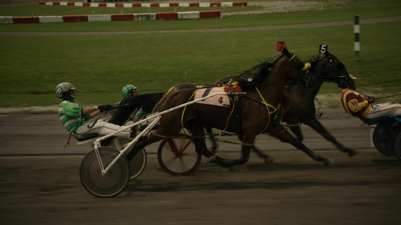 Secret Witness - Secret Witness