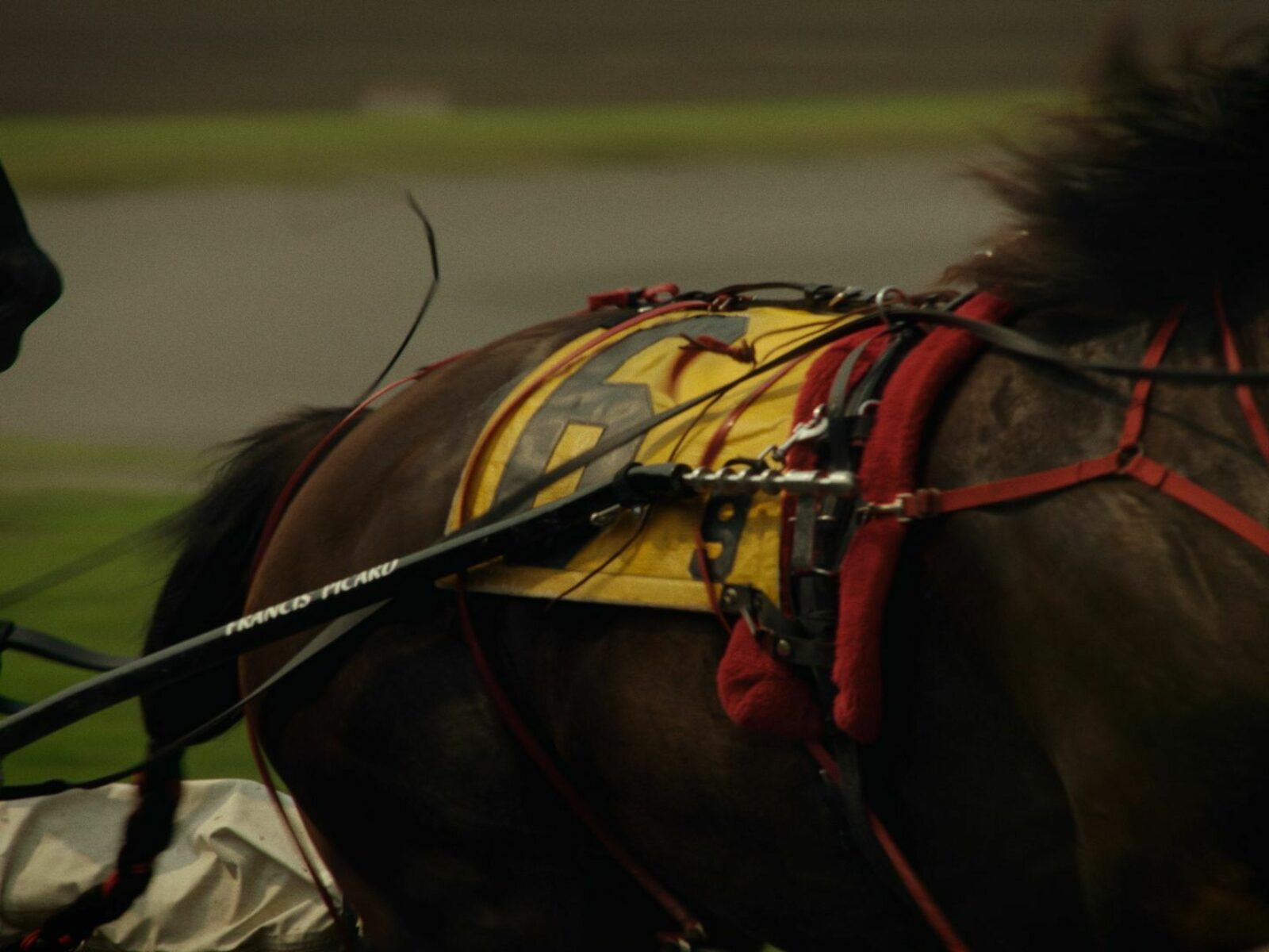 Secret Witness - Secret Witness