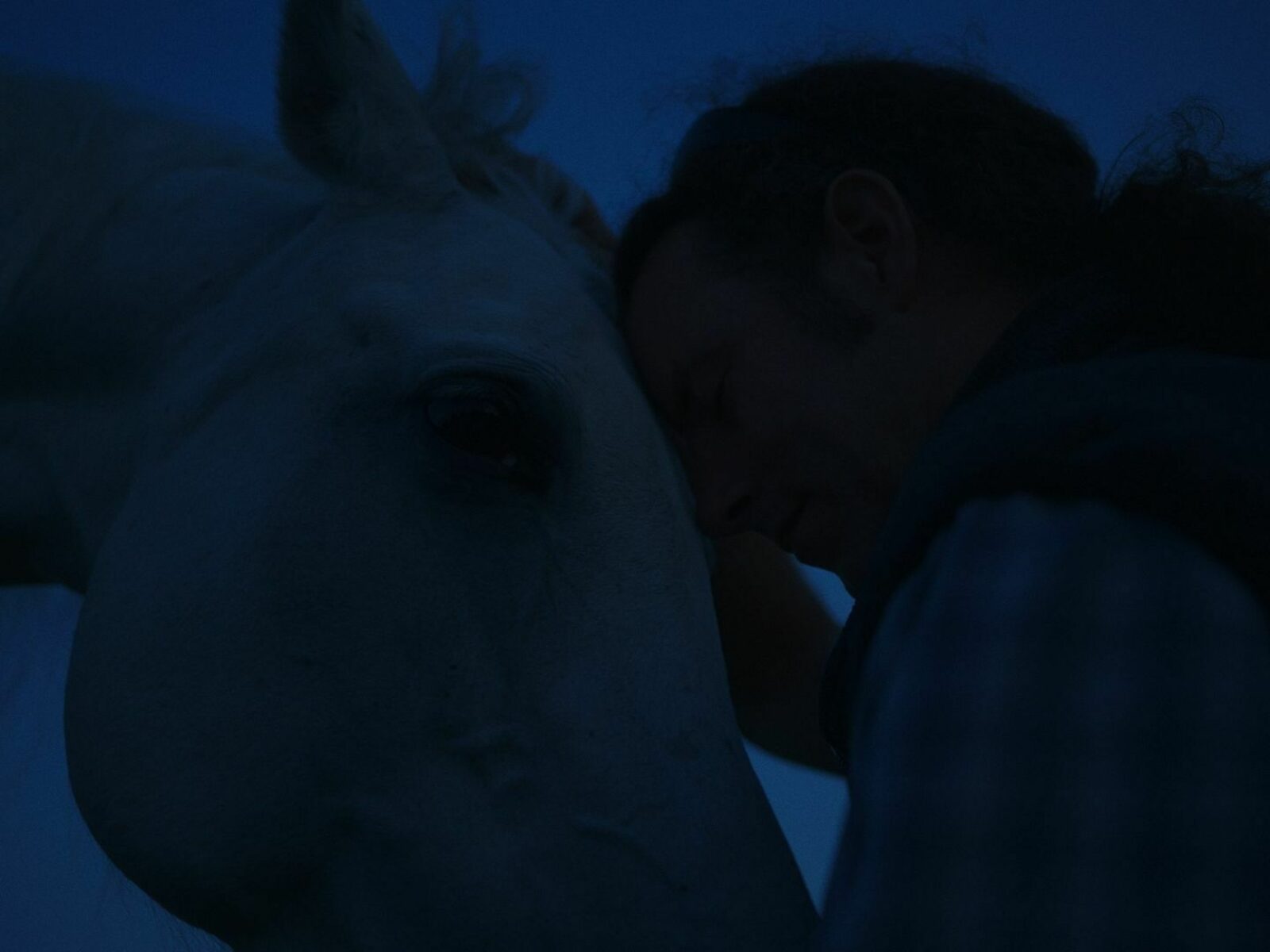 Secret Witness - Secret Witness