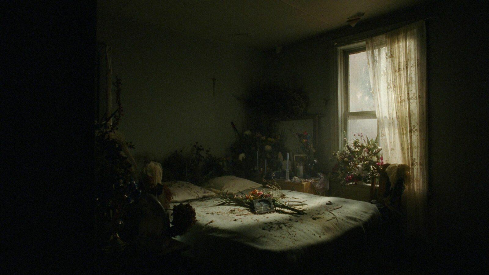 Simon Leoza - La nuée