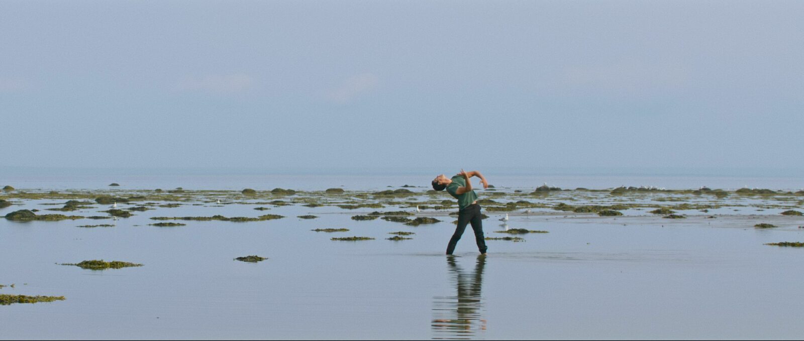 Solos prêts-à-porter : James Viveiros