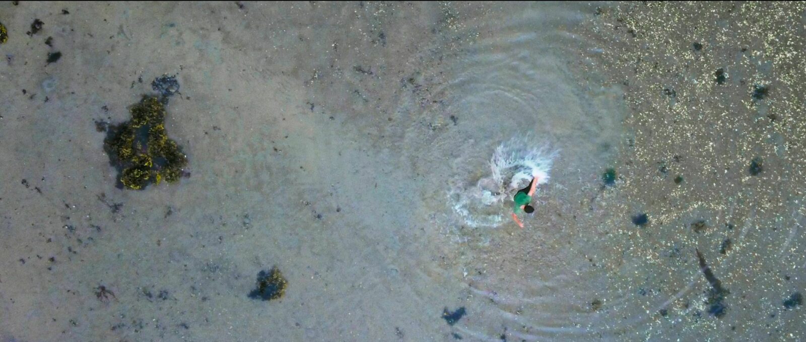 Solos prêts-à-porter : James Viveiros