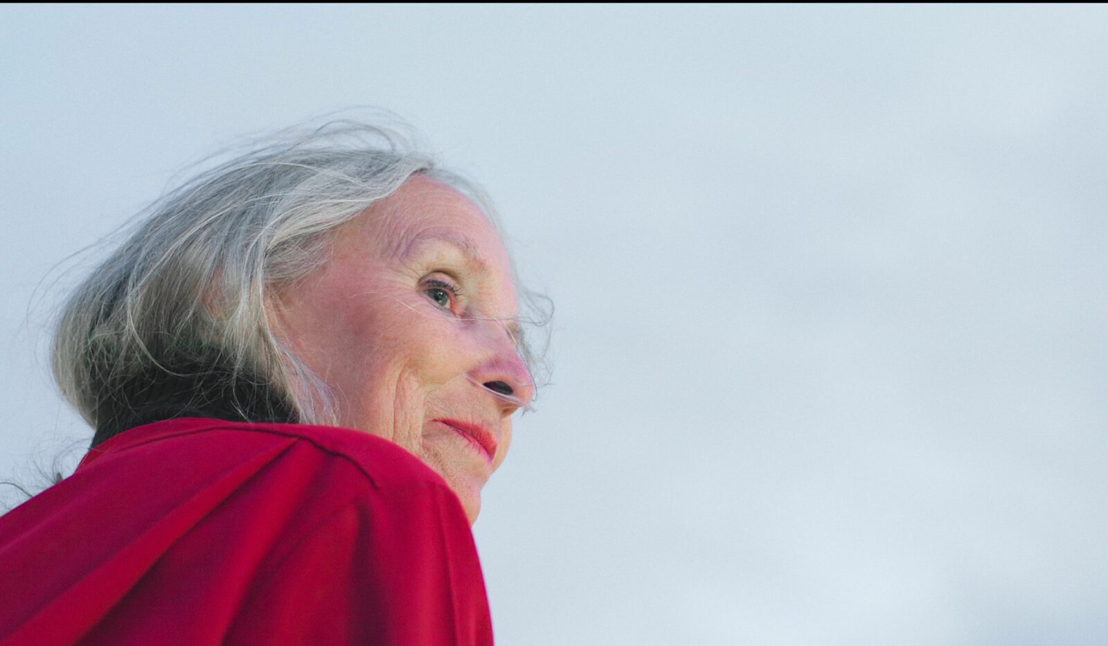 Solos prêts-à-porter : Louise Bédard