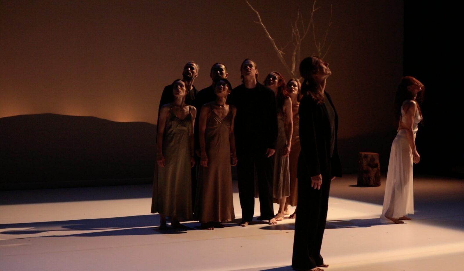 The Carolyn Carlson Company at Work