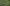 The Silence of The Banana Trees