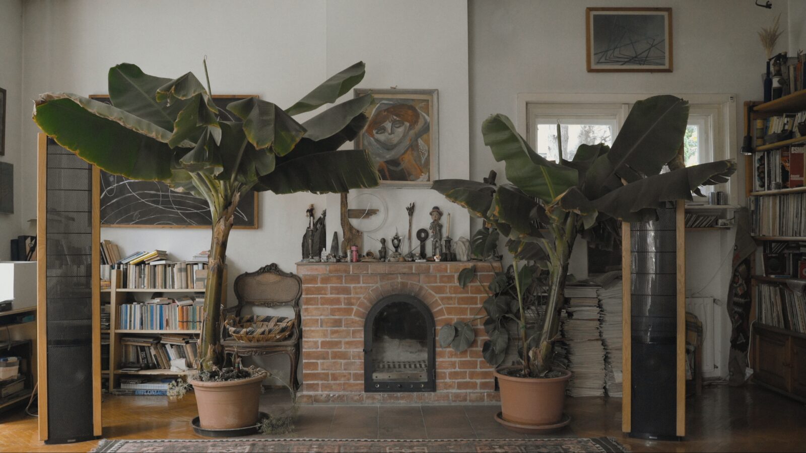 The Silence of The Banana Trees