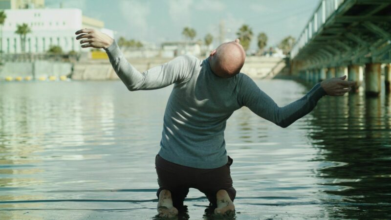 The Swan at the Mouth of the River