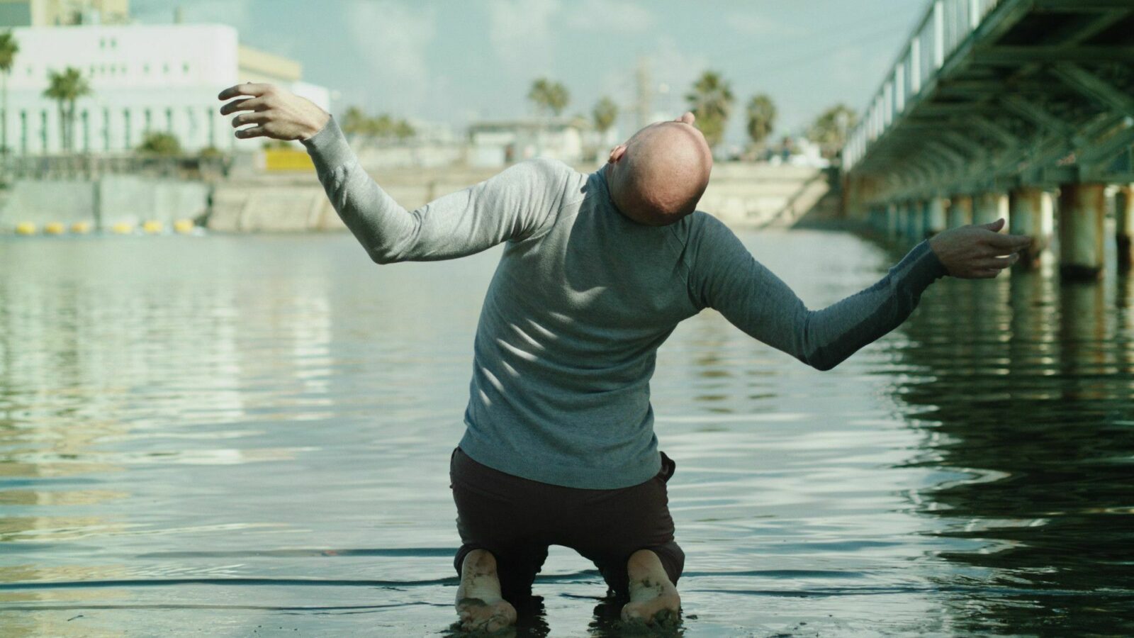 The Swan at the Mouth of the River