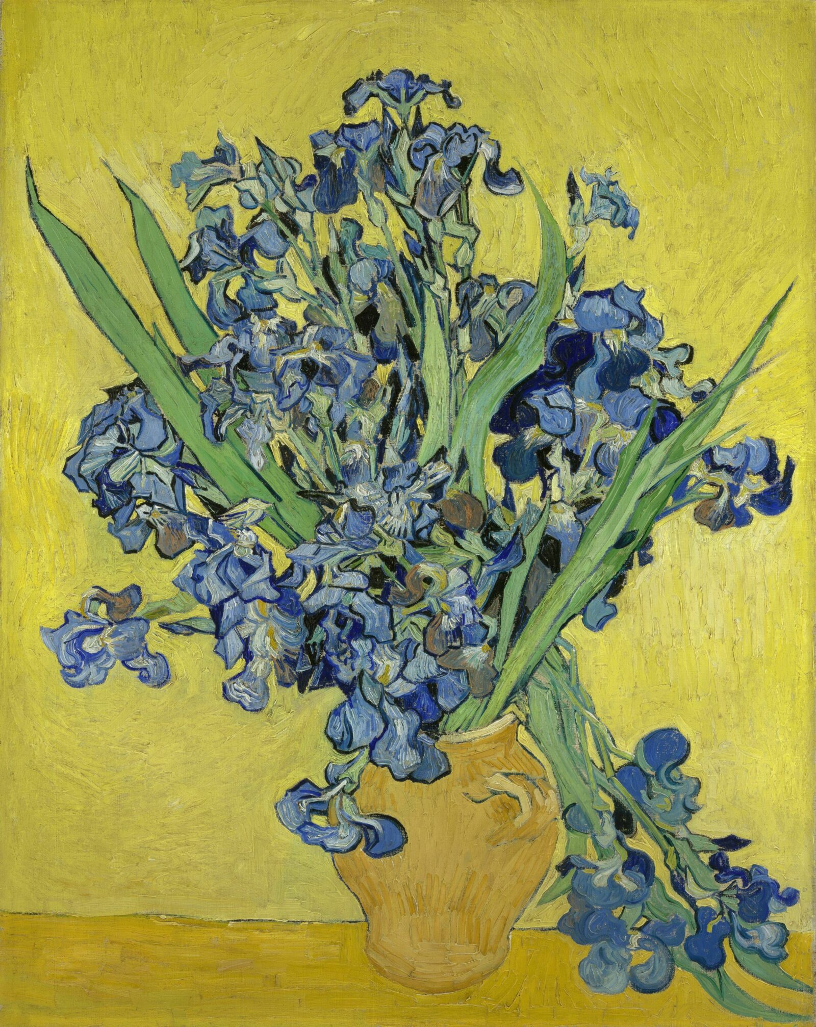 Vincent van Gogh: A New Way of Seeing