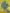 Vincent van Gogh: A New Way of Seeing